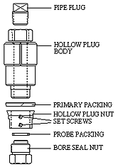 Assembly of Hollow Plug