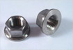 Threaded Flanges